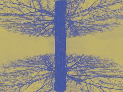 The Practice of Reproducible Research-thumbnail.jpg