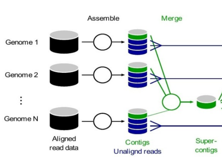 elfaramawy et al 2024-thumbnail.png