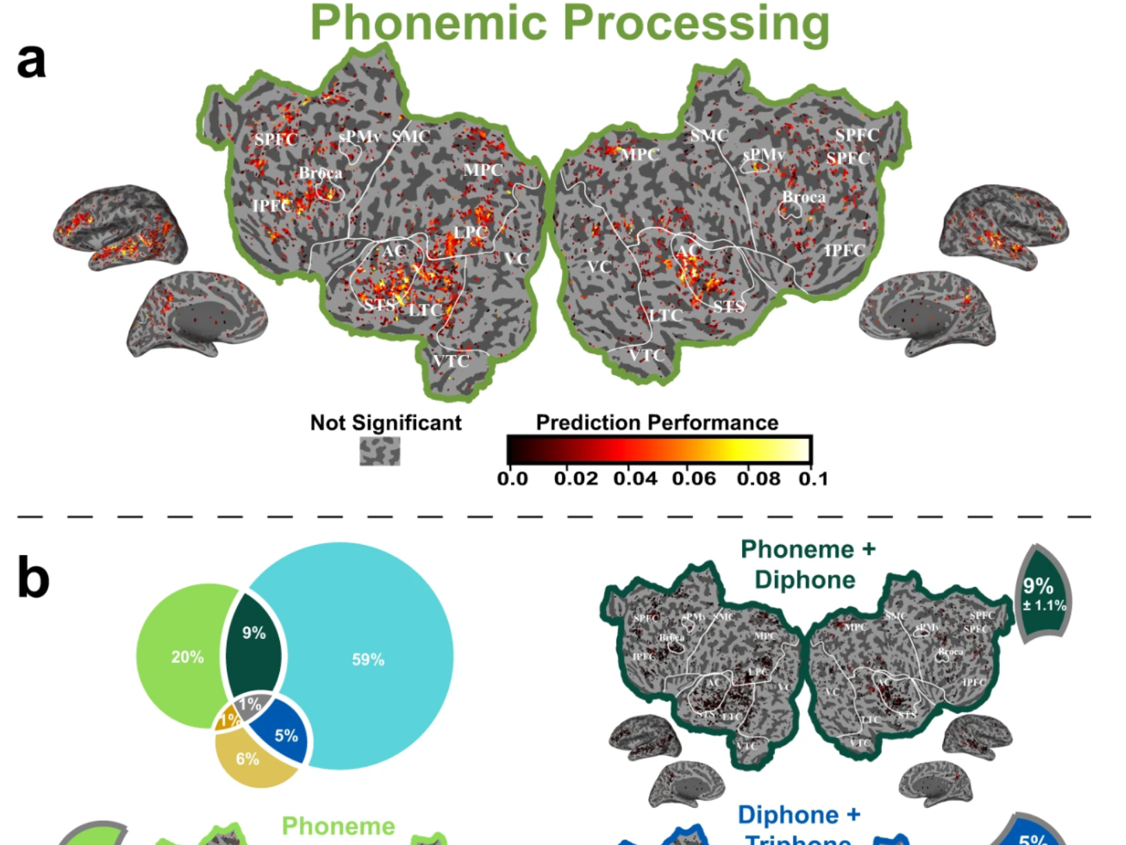 gong et al 2023-thumbnail.png